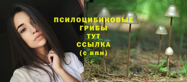 не бодяженный Арсеньев