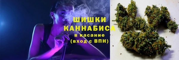 не бодяженный Арсеньев