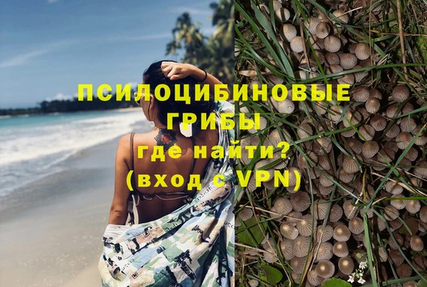 не бодяженный Арсеньев