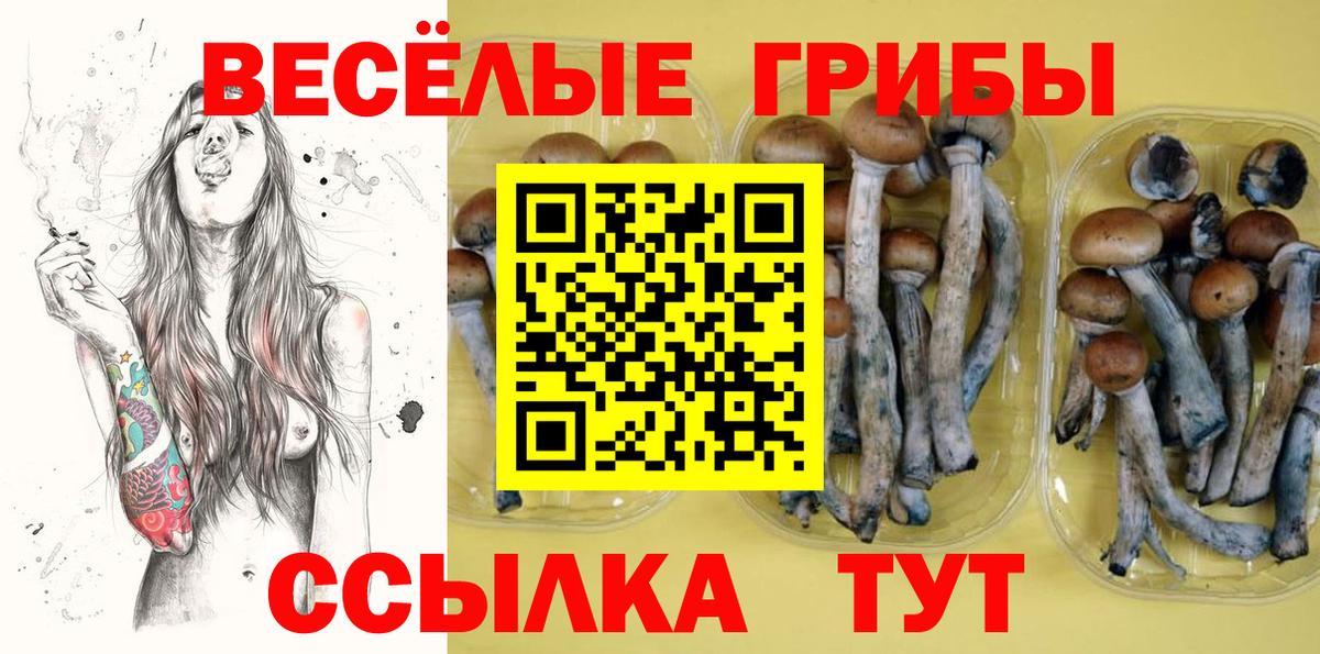 Ахтубинск  Псилоцибиновые грибы прущие грибы  Вход с VPN 
